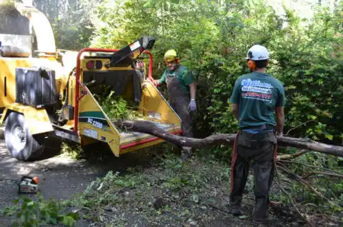 tree services Livermore